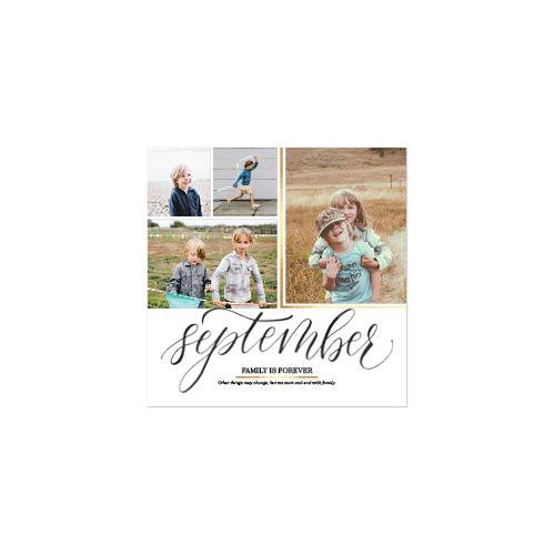 Elegant Script Year In Review 12x12 undefined  Premium Album