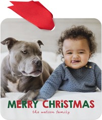 Festive Christmas Paw