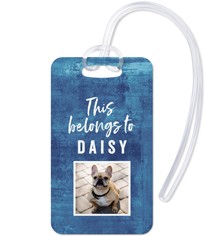 Playful Patterns Indigo Watercolor