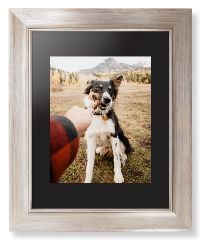 Pet Photo Gallery