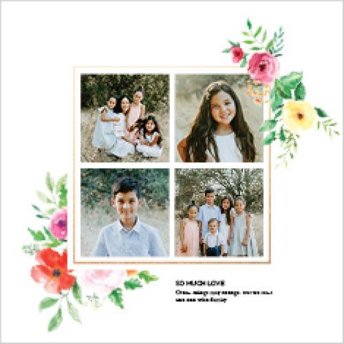 Colorful Blooms 12x12 undefined  Premium Album