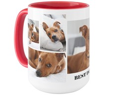 Gallery of Six Pets