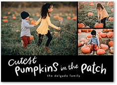 Cutest Pumpkins