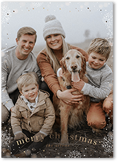 Snowfall Surroundings