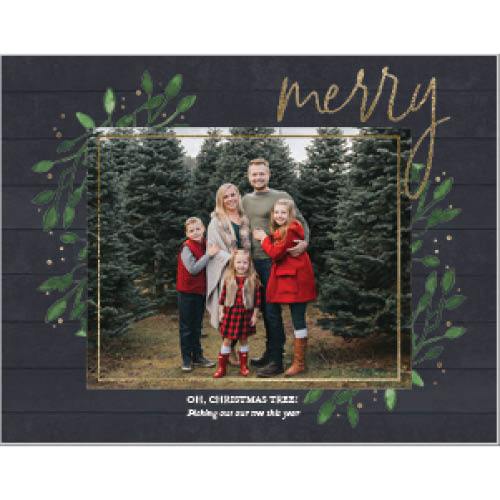 Celebrate the Season 8x11 undefined  Premium Album