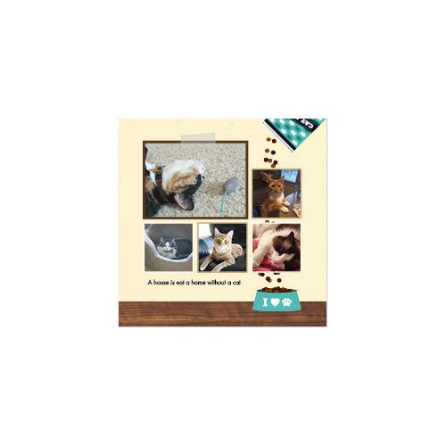 Four Legged Friends 12x12 undefined  Wall Calendar