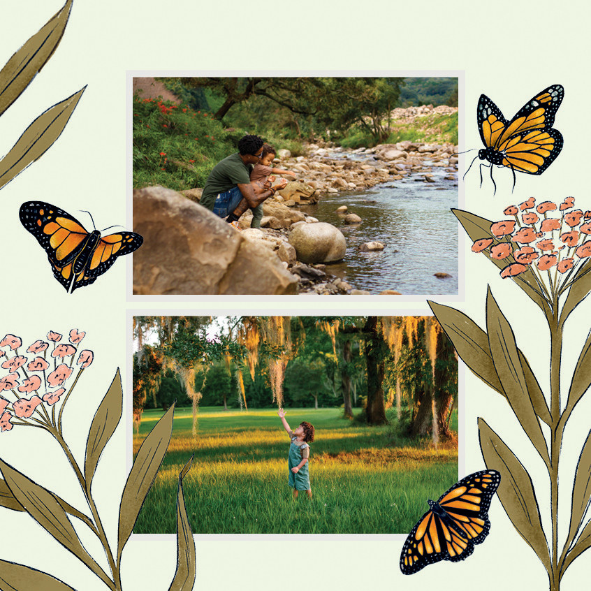 Storybook Seasons Calendar 12x12 undefined  Wall Calendar