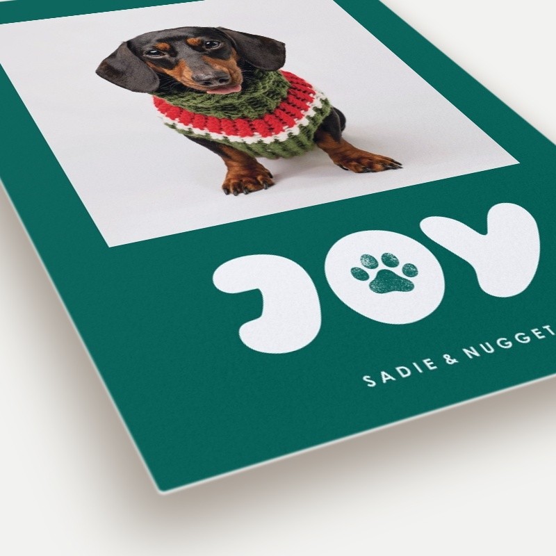Paw Print Joy Holiday Card