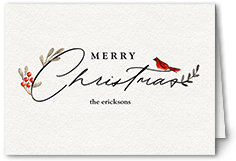 Bird and Holly Berry