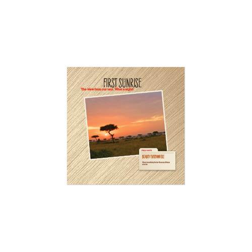 Passport to Africa 8x8 undefined  Premium Album