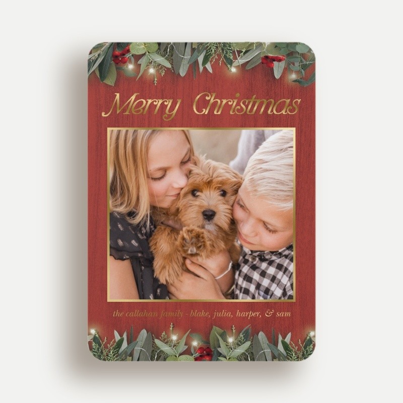 Botanical Trio Holiday Card