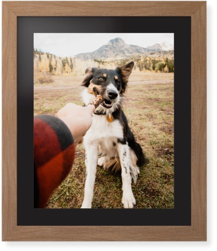Pet Photo Gallery