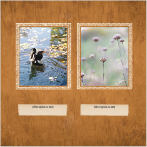 Natural Neutrals Calendar 12x12 undefined  Wall Calendar