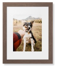 Pet Photo Gallery