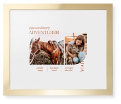 Favorite Infographic​