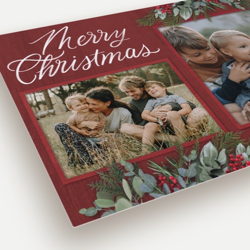 Pine Berry Holiday Card