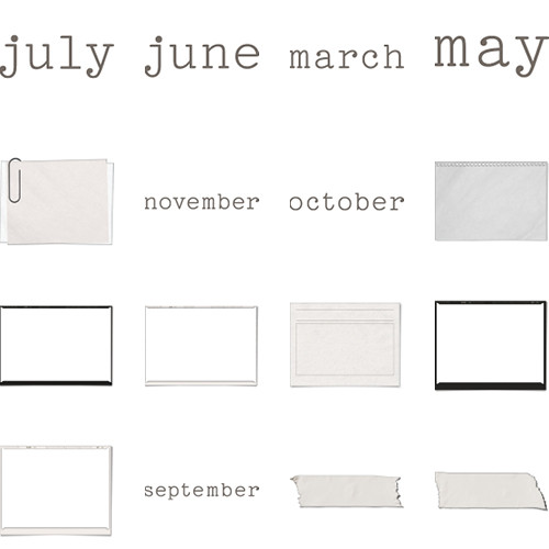 Snapshot Calendar 12x12 undefined  Wall Calendar