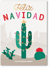 Festive Cactus