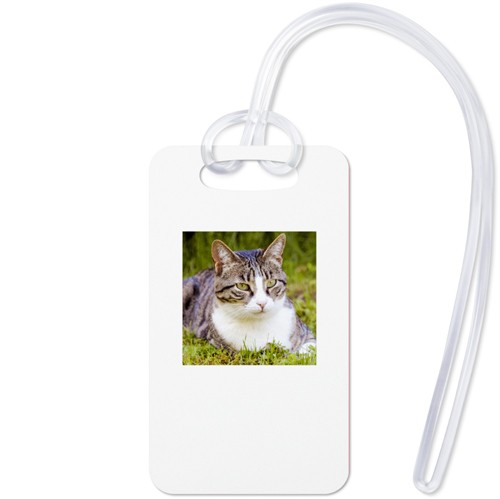 Pets Gallery of One 2x3 Multicolor  Luggage Tag