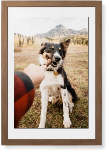 Pet Photo Gallery