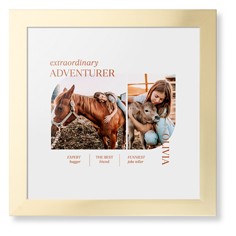 Favorite Infographic​