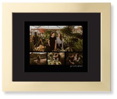 Modern Hero Gallery Of Four