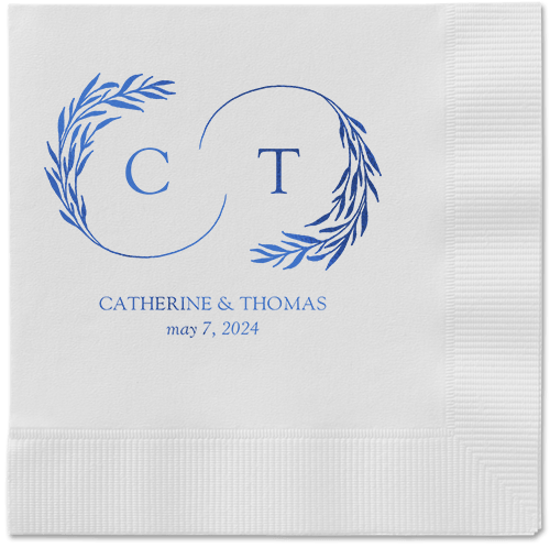 Blue And White Cloth Napkins