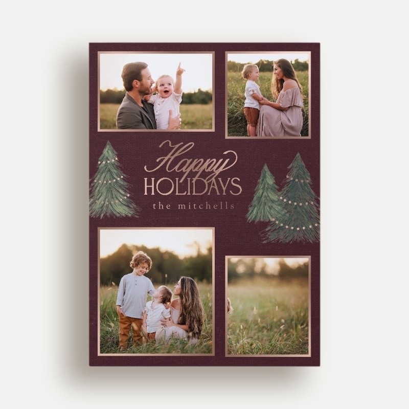 Elegant Pines