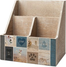 Best in Show Sit Stay Play