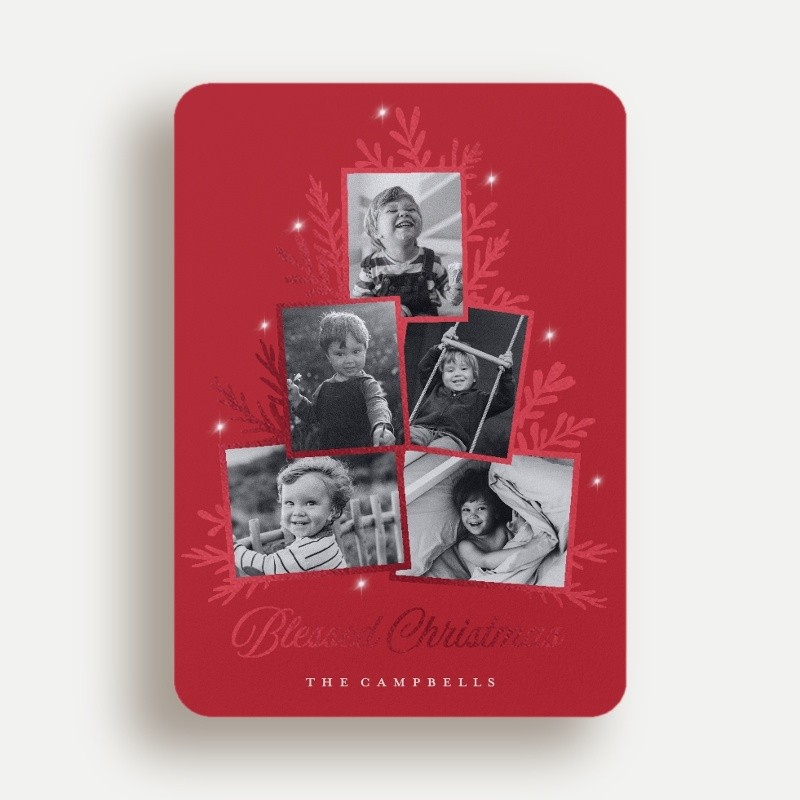 Sprig Tree Holiday Card