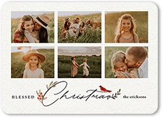 Bird and Holly Berry