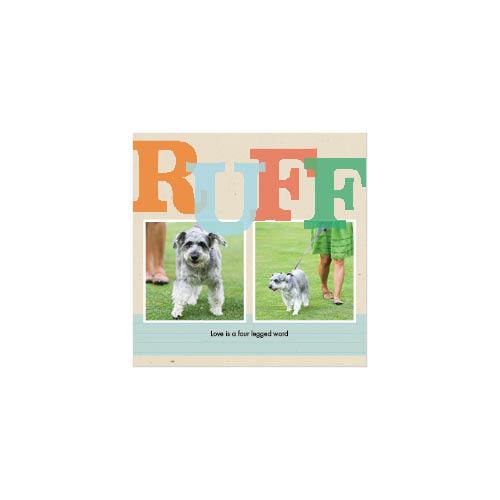 Four Legged Friends 12x12 undefined  Wall Calendar
