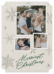 Botanical Snowflakes