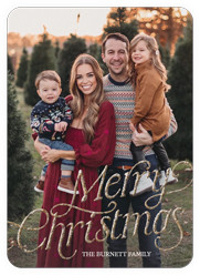 Luxe Holiday Greetings