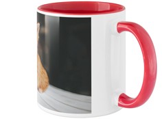productImage-2