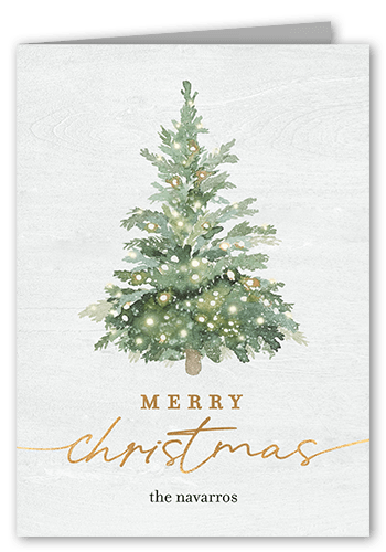 Unique White Christmas Card For Siblings
