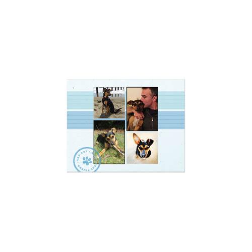 Four Legged Friends 8x11 undefined  Wall Calendar