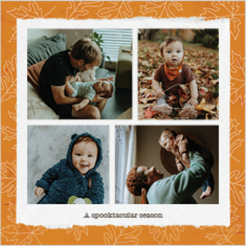 Seasonal Patterns Calendar 12x12 undefined  Wall Calendar