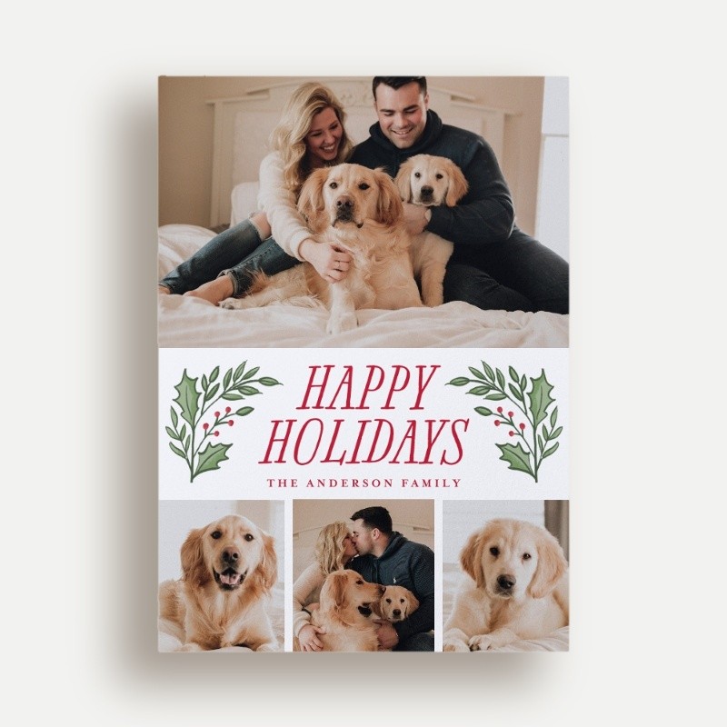 Holly Sprigs Holiday Card