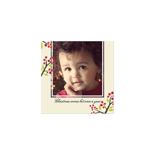 Bold Seasons 12x12 undefined  Wall Calendar