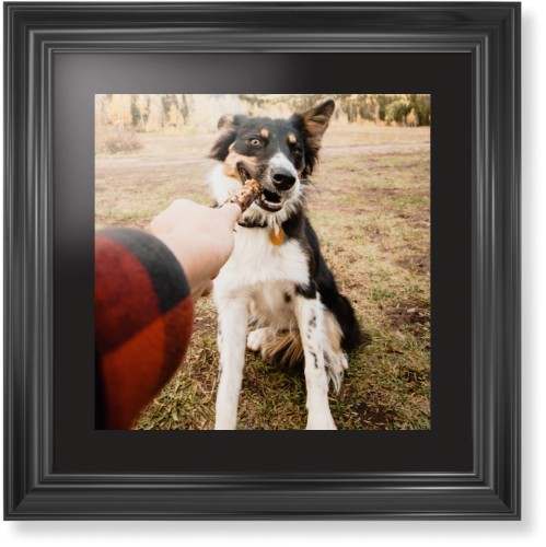 Pet Photo Gallery