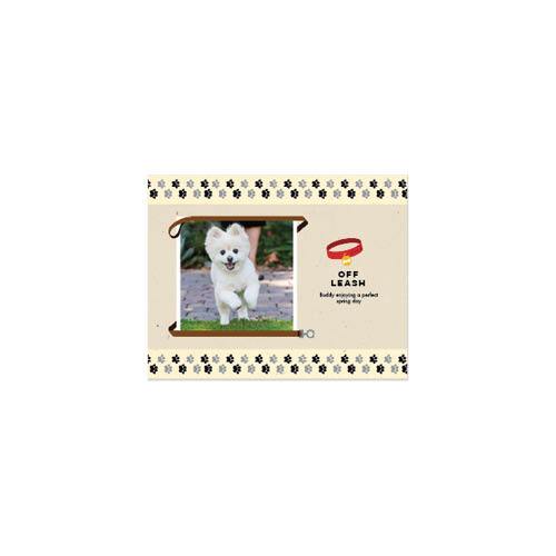 Four Legged Friends 8x11 undefined  Wall Calendar