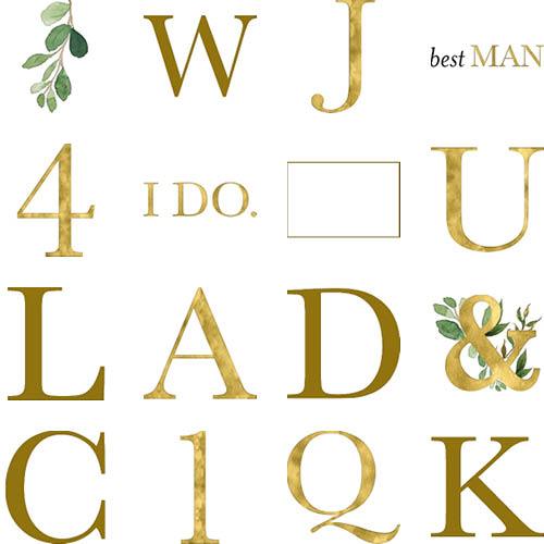 Classic Vows 10x10 undefined  Premium Album