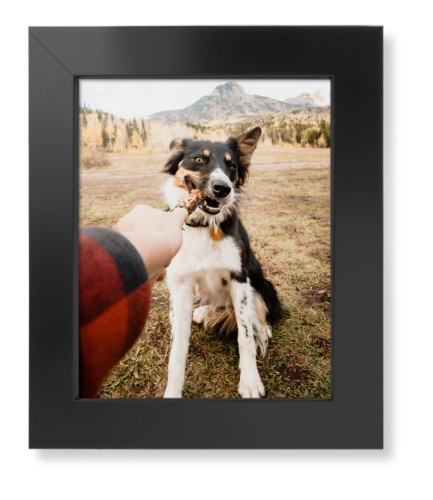 Pet Photo Gallery