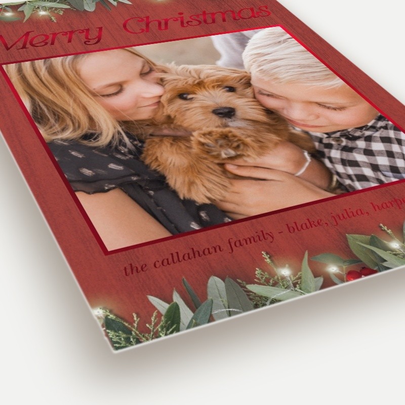 Botanical Trio Holiday Card