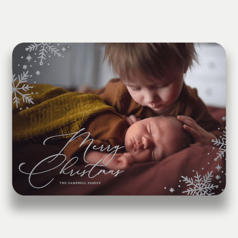 Delicate Flakes Holiday Card
