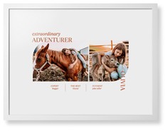 Favorite Infographic​