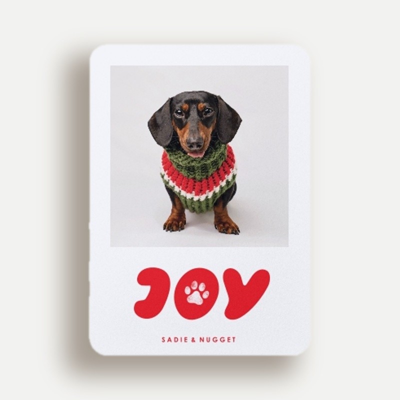 Paw Print Joy