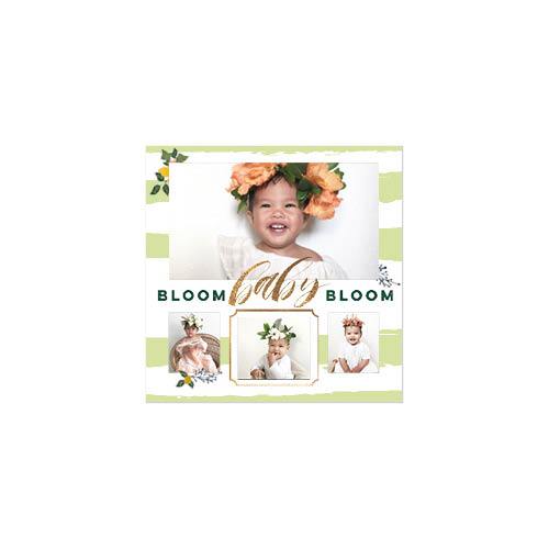 Spring Florals 12x12 undefined  Premium Album