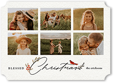 Bird and Holly Berry